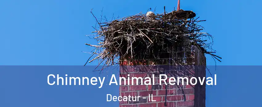  Chimney Animal Removal Decatur - IL