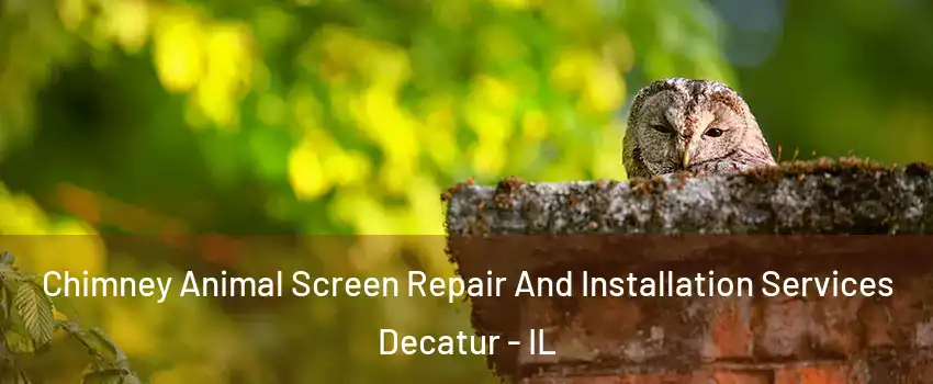  Chimney Animal Screen Repair And Installation Services Decatur - IL