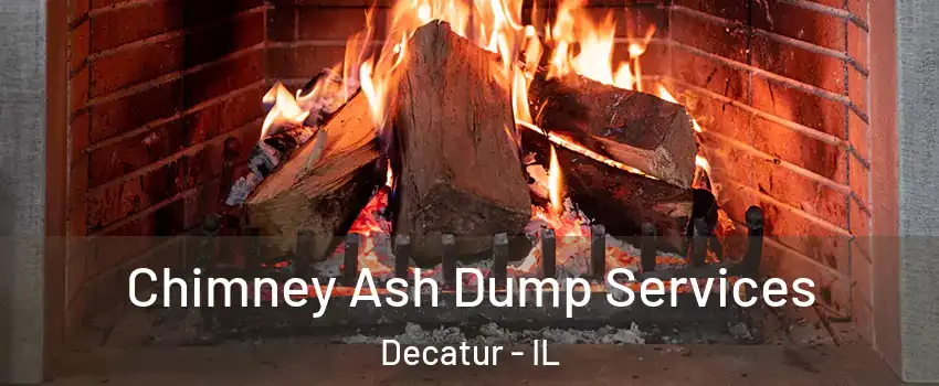  Chimney Ash Dump Services Decatur - IL