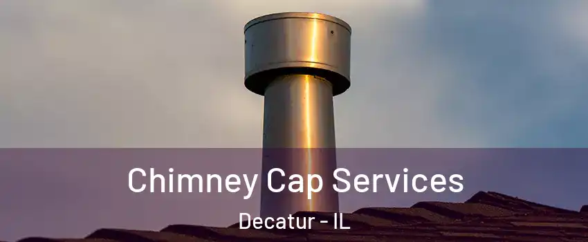  Chimney Cap Services Decatur - IL
