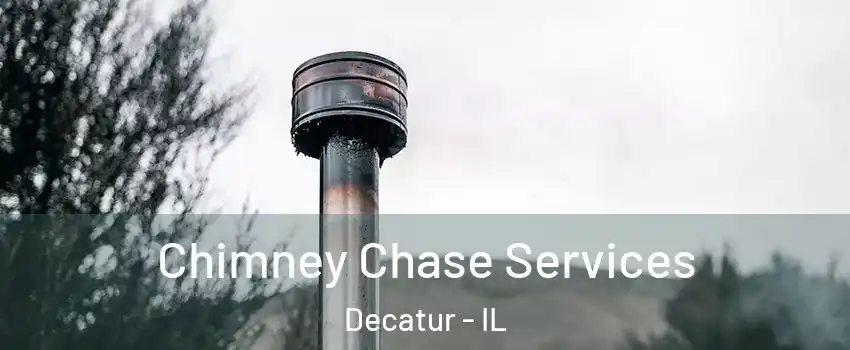  Chimney Chase Services Decatur - IL