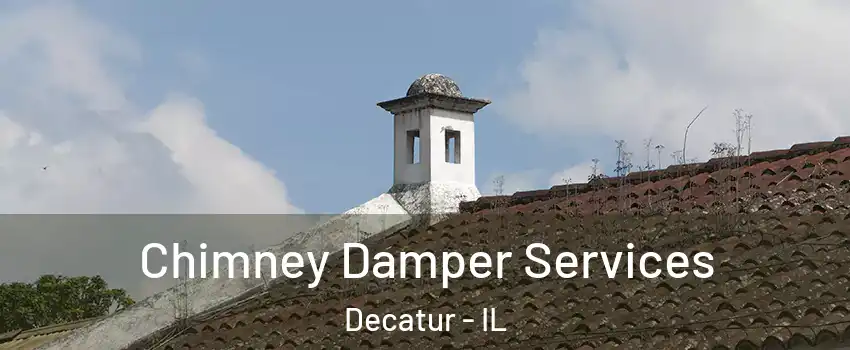  Chimney Damper Services Decatur - IL