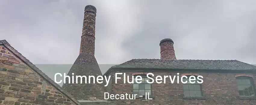  Chimney Flue Services Decatur - IL