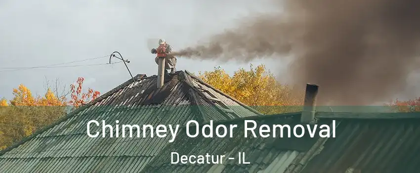  Chimney Odor Removal Decatur - IL
