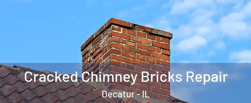  Cracked Chimney Bricks Repair Decatur - IL