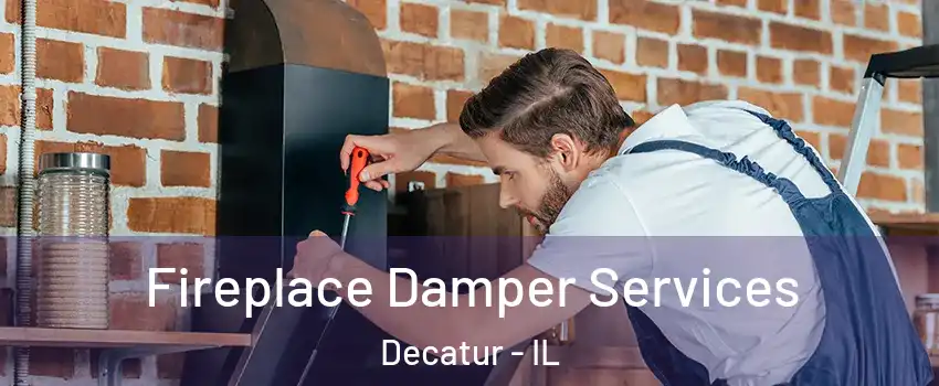  Fireplace Damper Services Decatur - IL