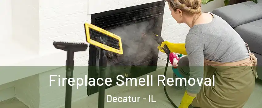  Fireplace Smell Removal Decatur - IL
