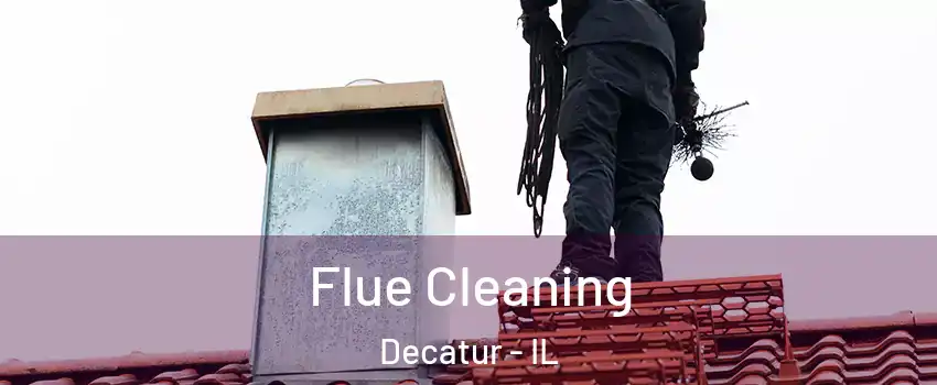  Flue Cleaning Decatur - IL
