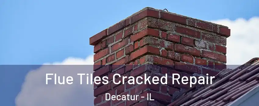 Flue Tiles Cracked Repair Decatur - IL