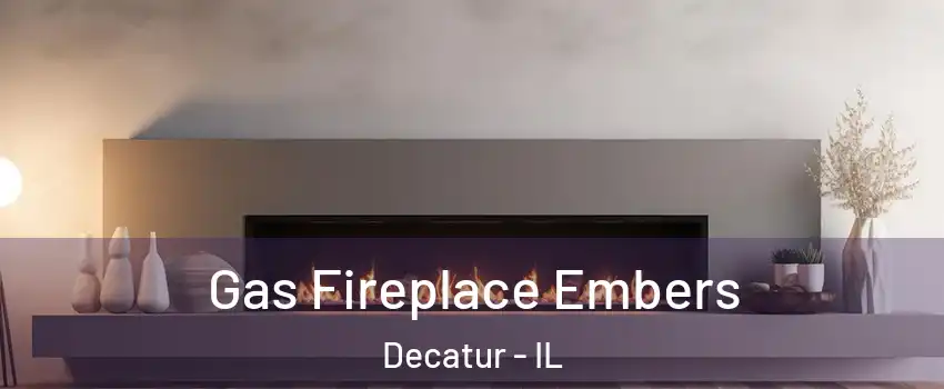  Gas Fireplace Embers Decatur - IL
