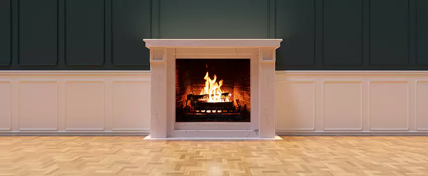 Napoleon Electric Fireplaces Inspection Service in Decatur, Illinois