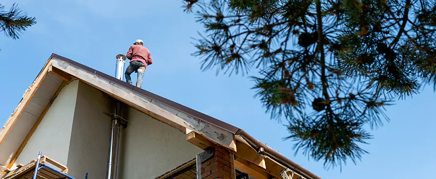 Birds Removal Contractors from Chimney in Decatur, IL