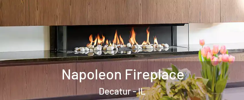  Napoleon Fireplace Decatur - IL