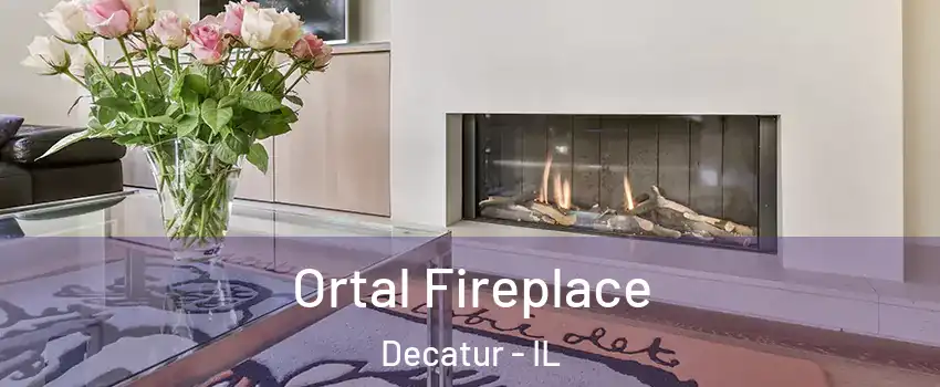 Ortal Fireplace Decatur - IL